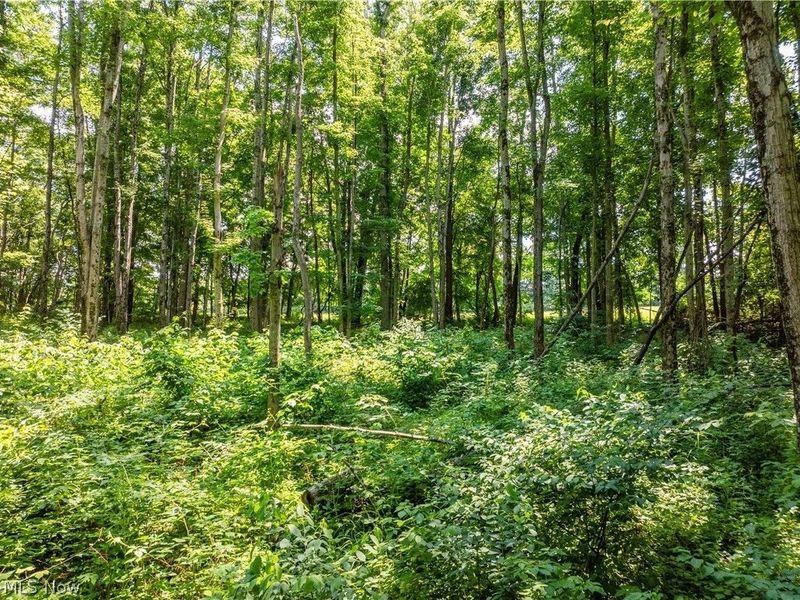 Lot 18 Township Rd 51, Somerset, OH 43783 Photo 14
