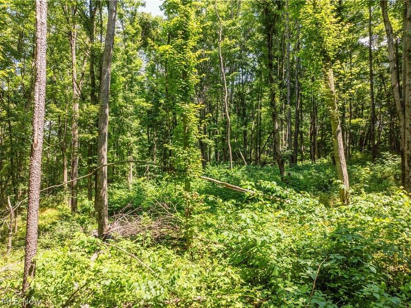 Lot 18 Township Rd 51, Somerset, OH 43783 Photo 15
