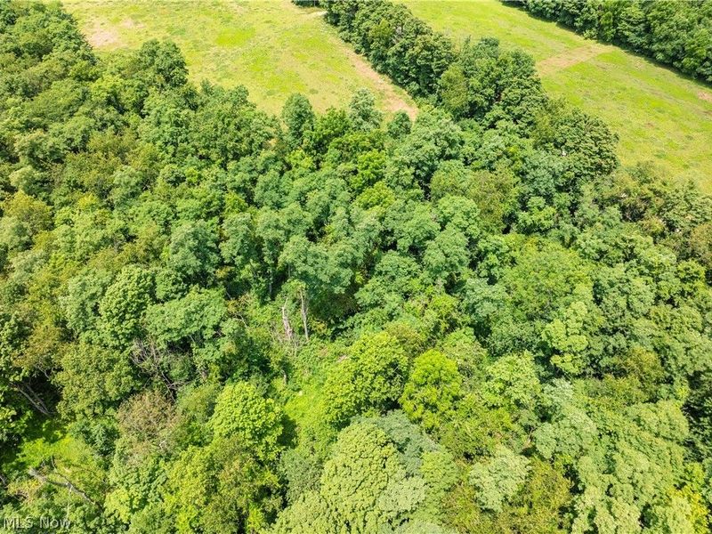 Lot 18 Township Rd 51, Somerset, OH 43783 Photo 2