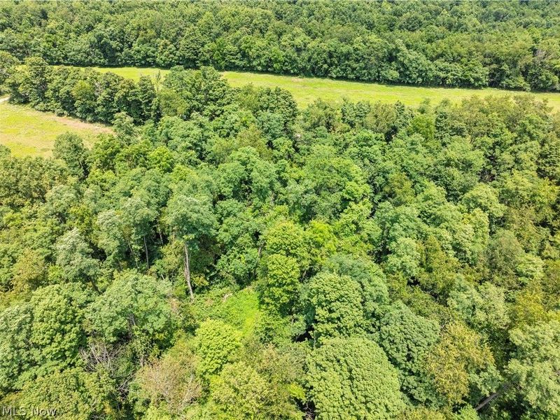 Lot 18 Township Rd 51, Somerset, OH 43783 Photo 5