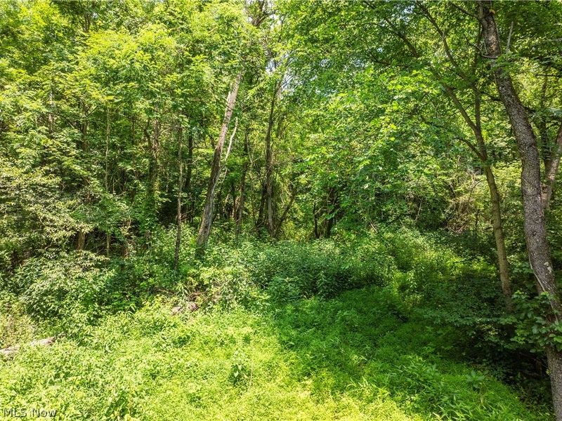 Lot 18 Township Rd 51, Somerset, OH 43783 Photo 6
