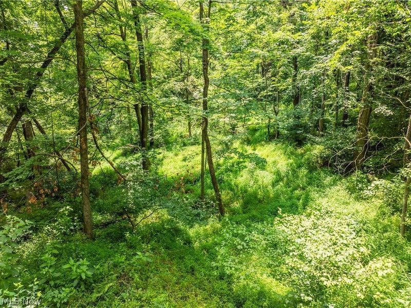 Lot 18 Township Rd 51, Somerset, OH 43783 Photo 8