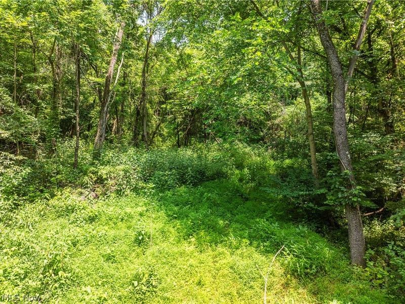 Lot 18 Township Rd 51, Somerset, OH 43783 Photo 9