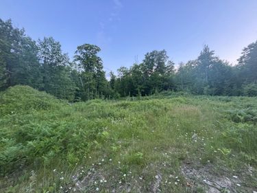 39987 Cass Line Road, Laporte, MN 56461
