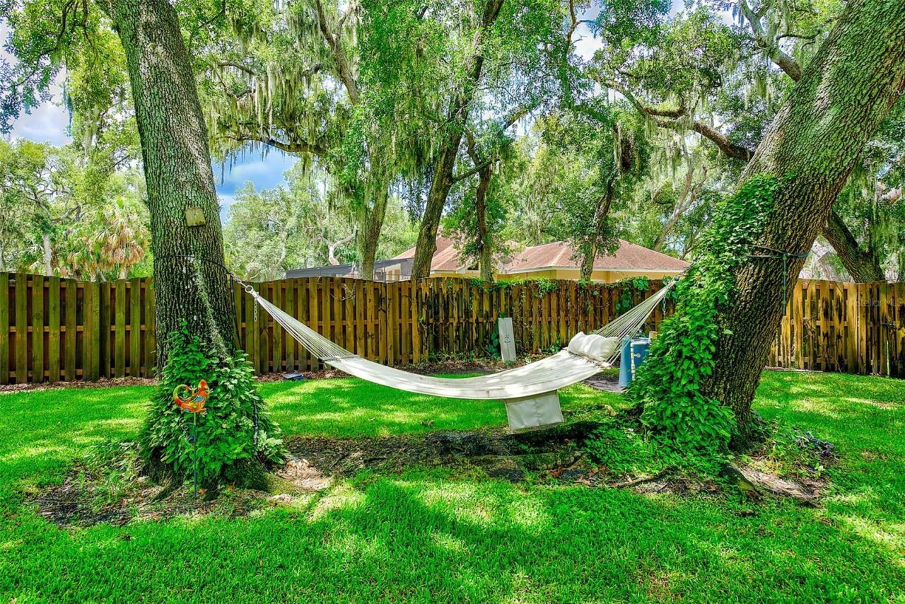 807 Centerbrook Drive, Brandon, FL 33511 Photo