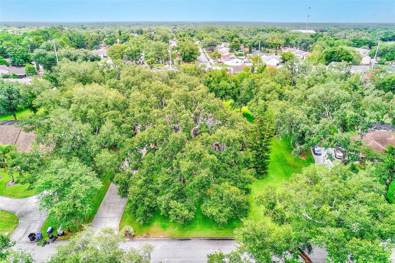 807 Centerbrook Drive, Brandon, FL 33511 Photo