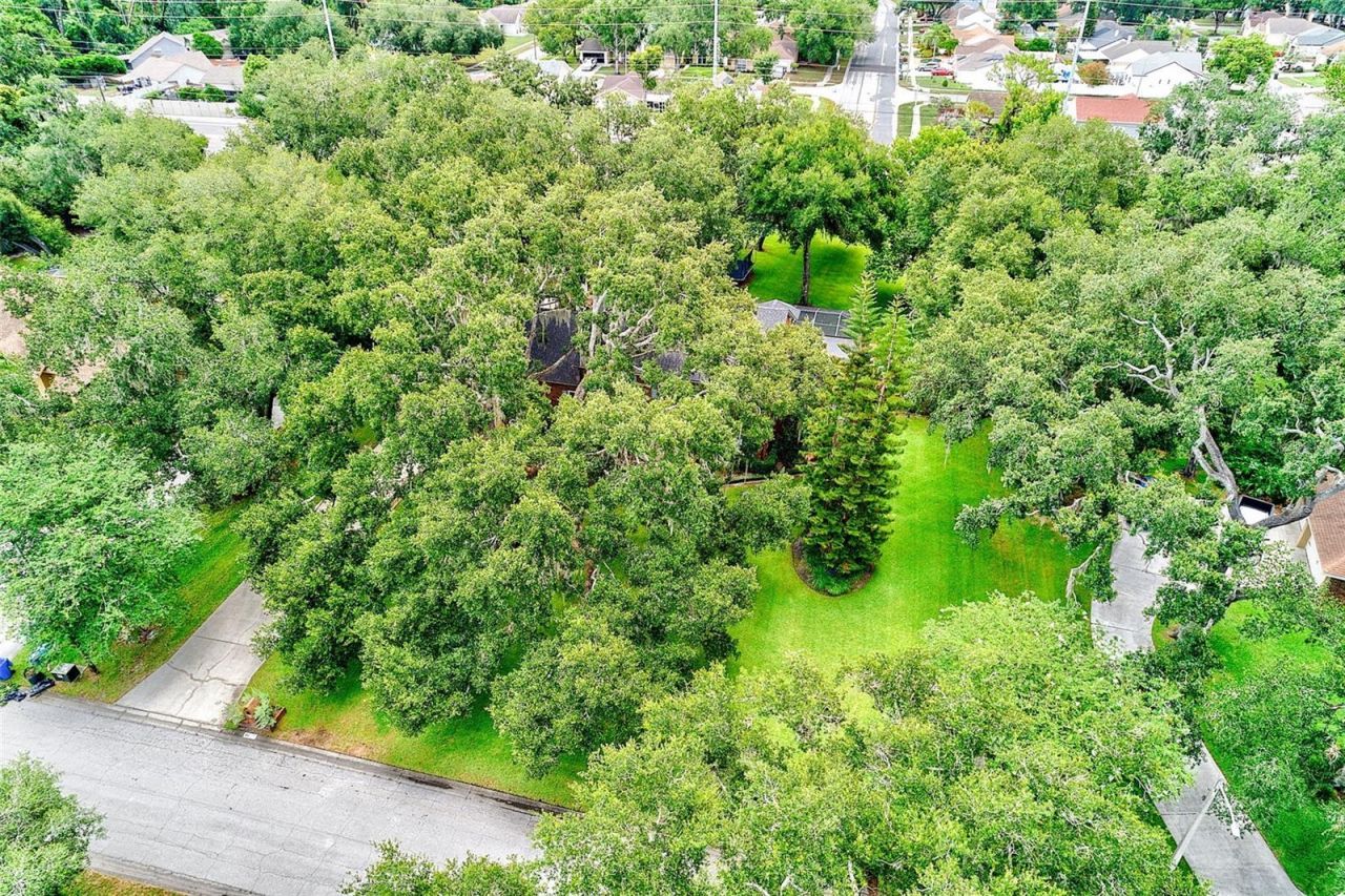 807 Centerbrook Drive, Brandon, FL 33511 Photo