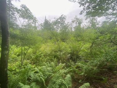 Marsh Road, Lindley, NY 14858