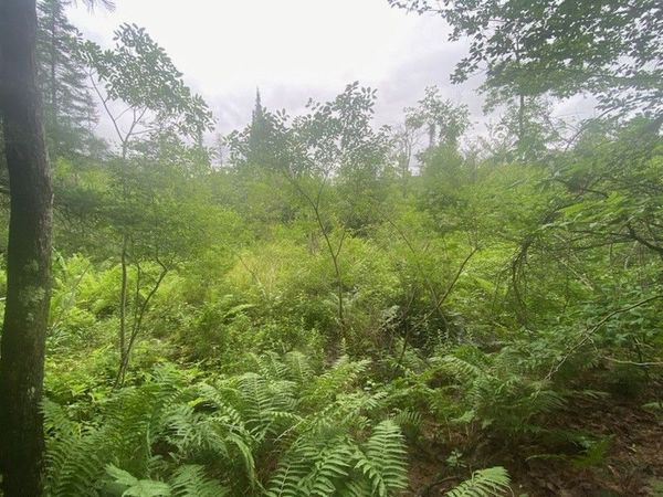 Marsh Road , Lindley, NY 14858