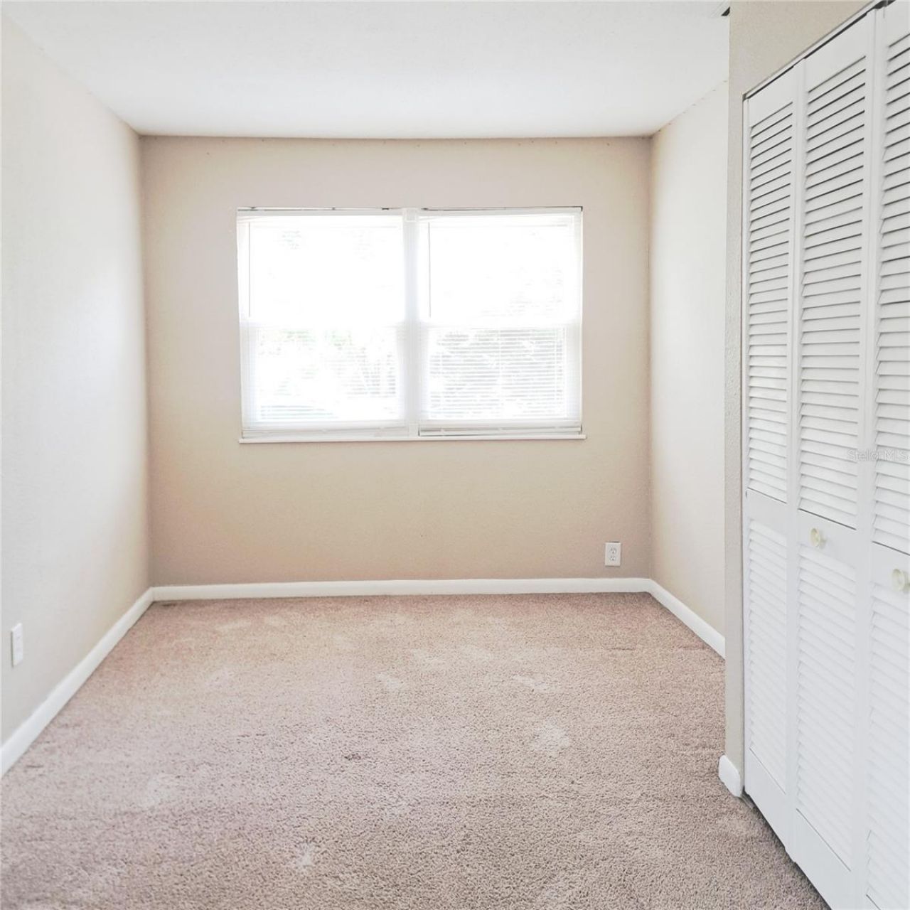 2657 Bayside Drive S, Saint Petersburg, FL 33705 Photo