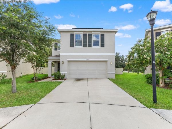 10823 TRAILING VINE DRIVE , TAMPA, FL 33610