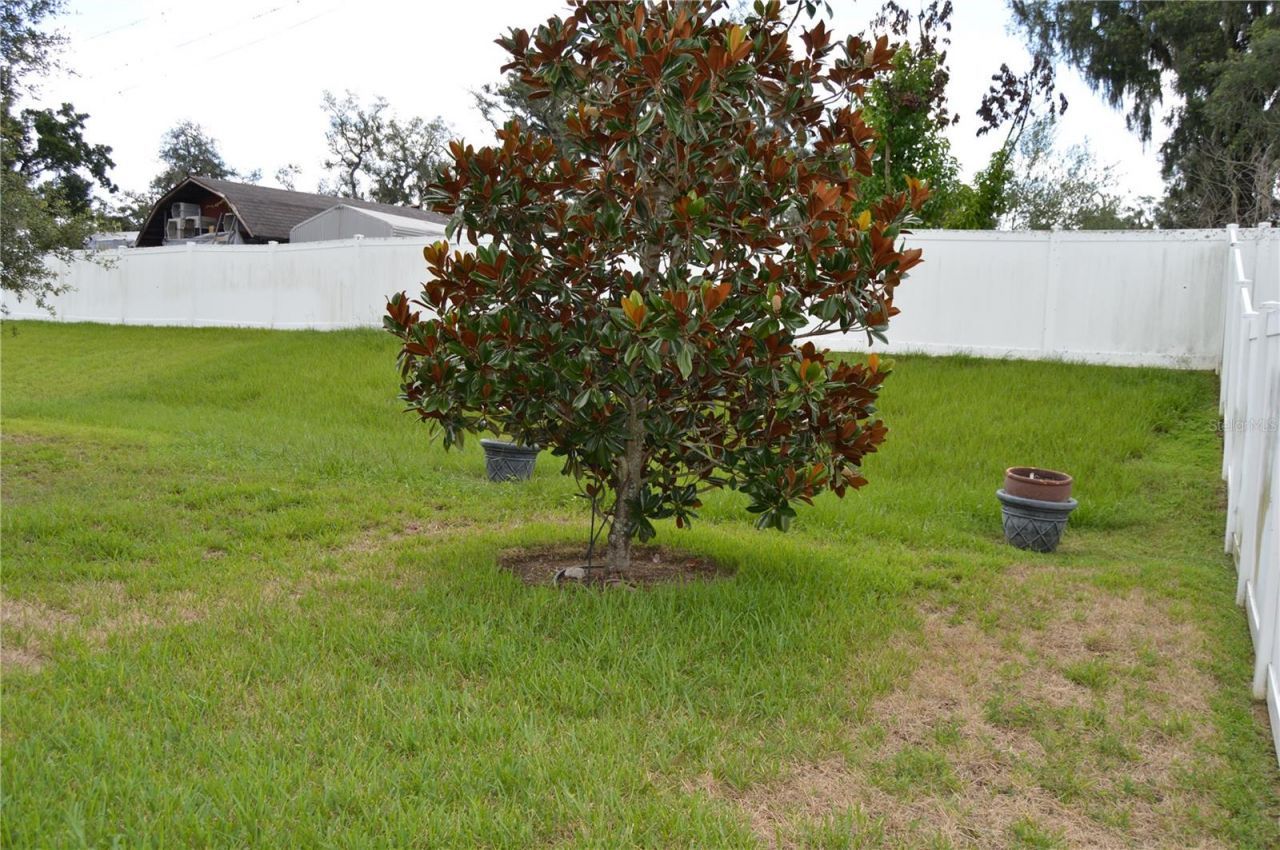 1214 Florablu Drive , Seffner, FL 33584 Photo