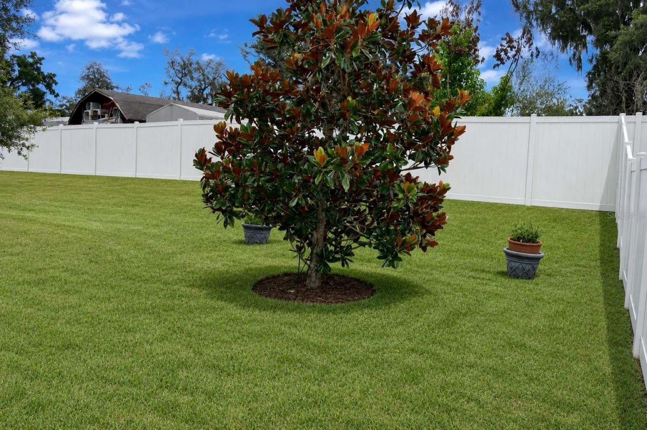 1214 Florablu Drive, Seffner, FL 33584 Photo