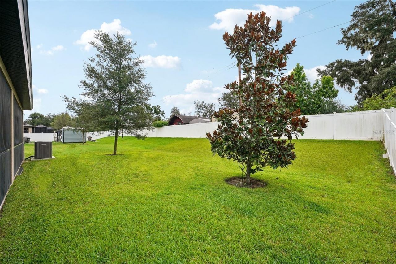 1214 Florablu Drive, Seffner, FL 33584 Photo
