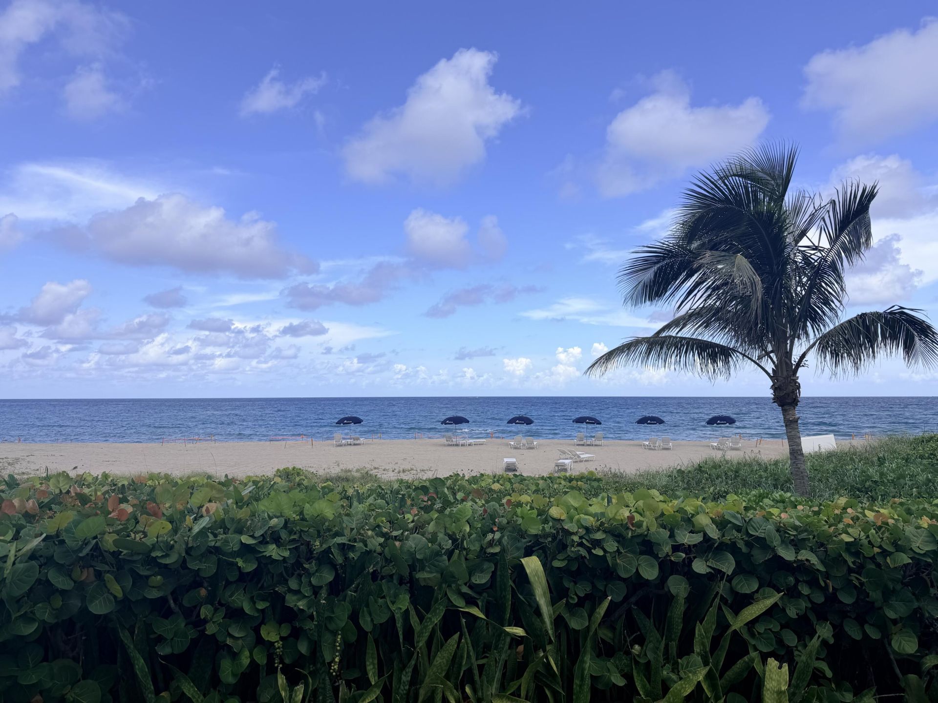 500 S Ocean Boulevard, Unit 2106, Boca Raton, FL 33432 Photo