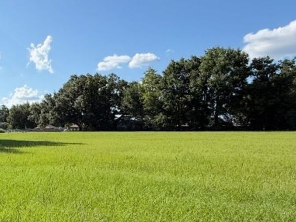 1143 SW TROY, Lake City, FL 32024