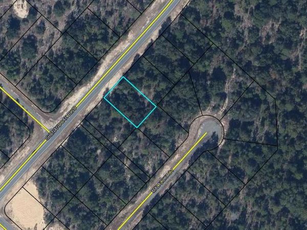 Lot 53 SHENANDOAH Boulevard, Chipley, FL 32428