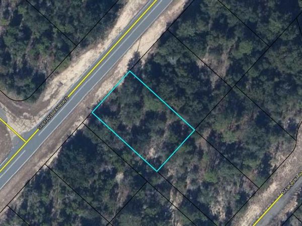 Lot 52 SHENANDOAH Boulevard, Chipley, FL 32428