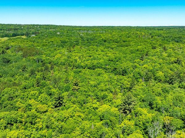 TBD 1 Forsman Road, Franklin Twp, MI 49930