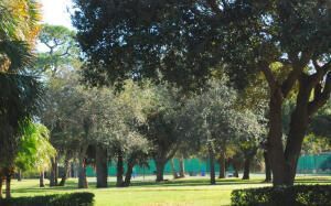 191 E Tall Oaks Circle, Palm Beach Gardens, FL 33410 Photo