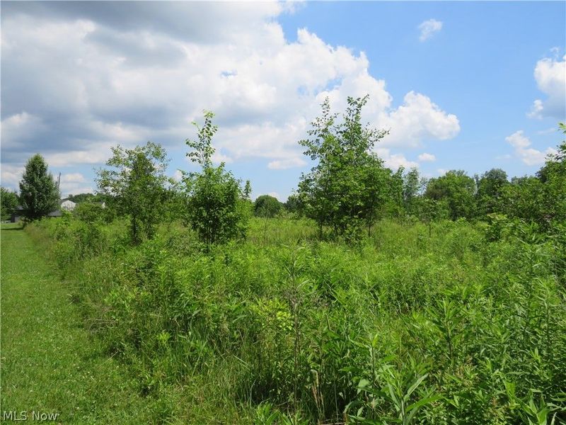 8667 State Route 43, Streetsboro, OH 44241 Photo 8
