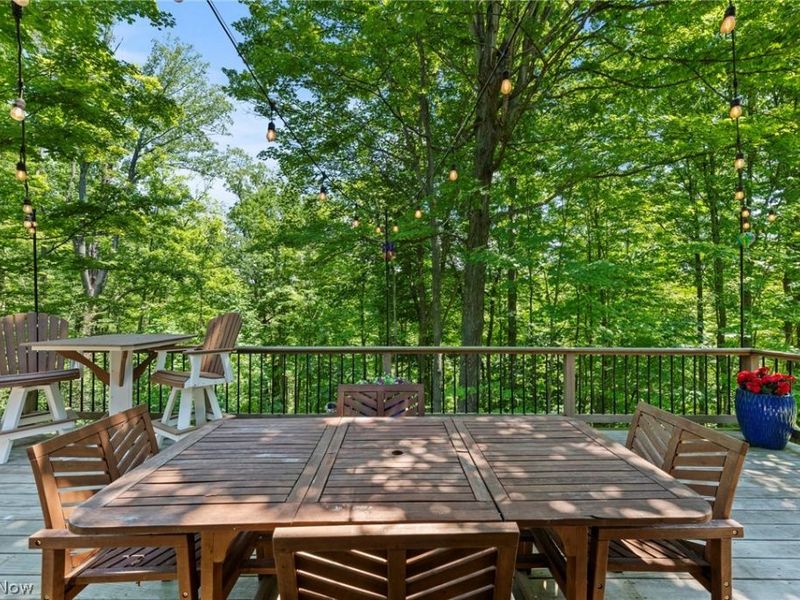 11535 Blackberry Lane, Chesterland, OH 44026 Photo 31