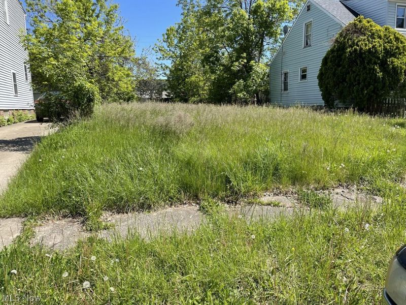 19120 Firwood Road, Cleveland, OH 44110 Photo 1