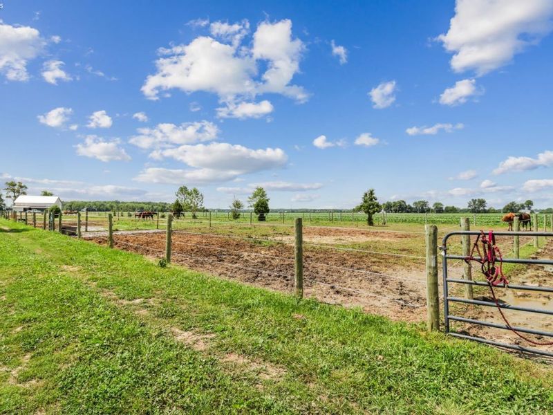 4180 W State Route 20, Gibsonburg, OH 43431 Photo 45