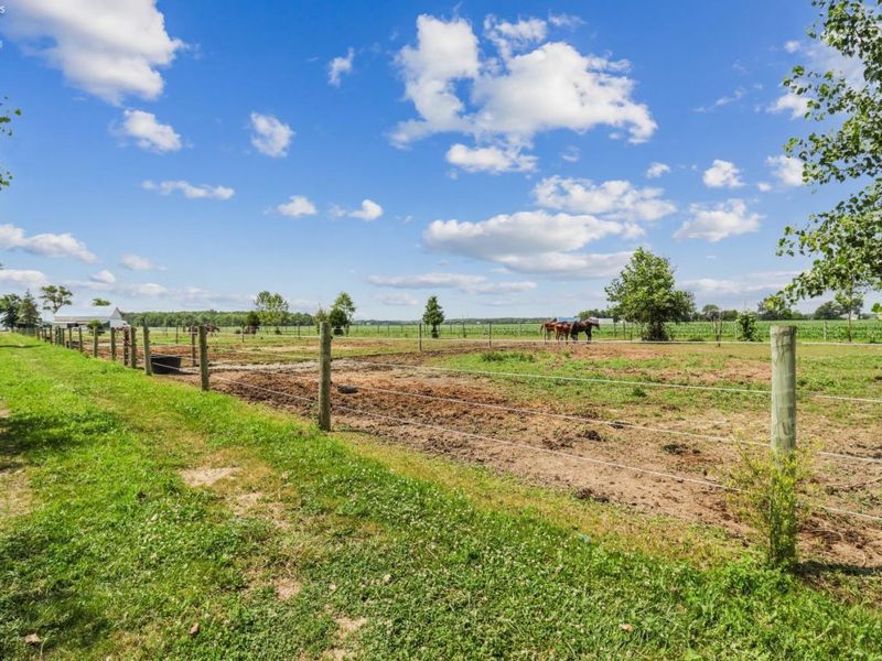 4180 W State Route 20, Gibsonburg, OH 43431 Photo 46