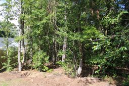 9122 State Rd S-10-1224 photo 4