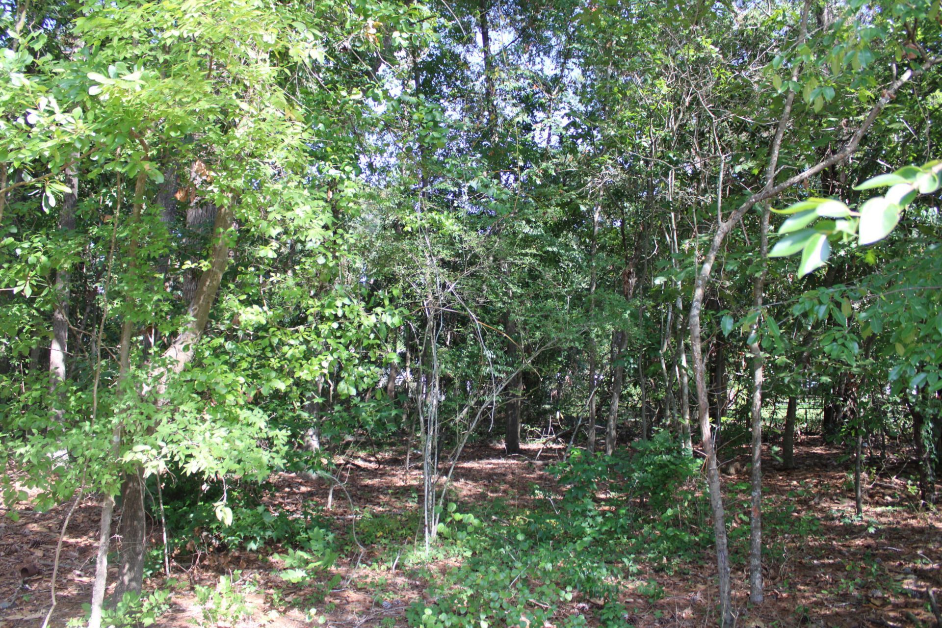 9122 State Rd S-10-1224 Photo 4