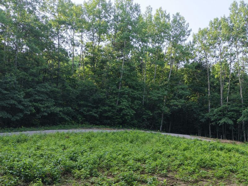 0 Township Road 293, Corning, OH 43730 Photo 12