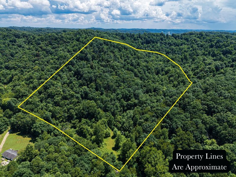 3247 Mcnamer Brown Road, Lucasville, OH 45648 Photo 1