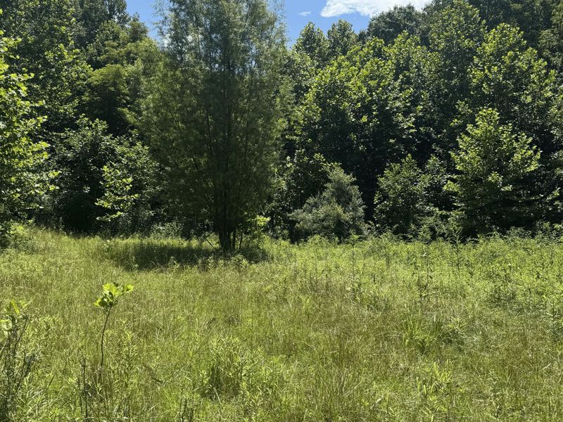 3247 Mcnamer Brown Road, Lucasville, OH 45648 Photo 10