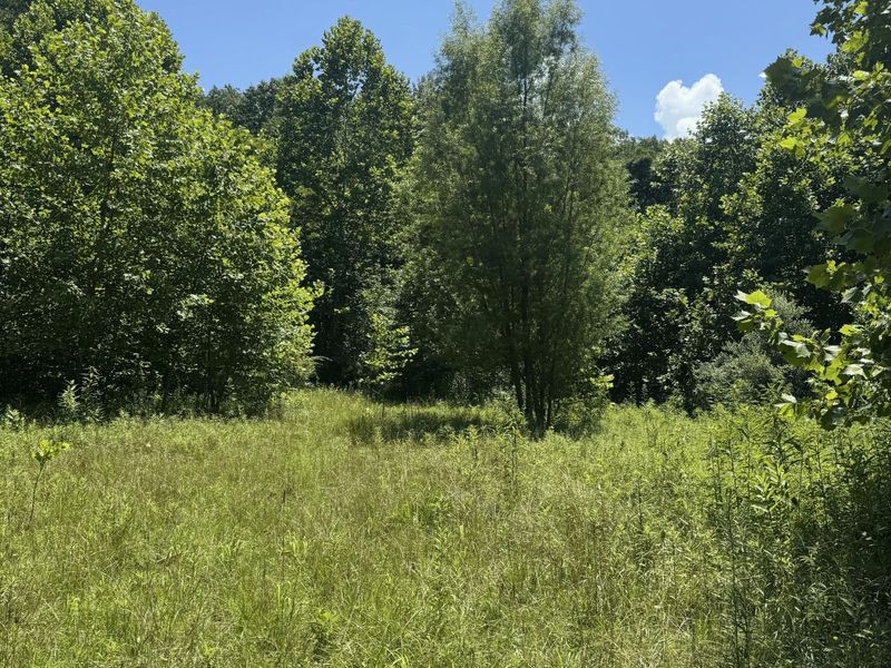 3247 Mcnamer Brown Road, Lucasville, OH 45648 Photo 11