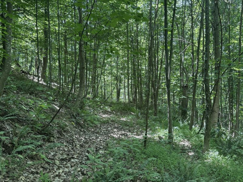 3247 Mcnamer Brown Road, Lucasville, OH 45648 Photo 12