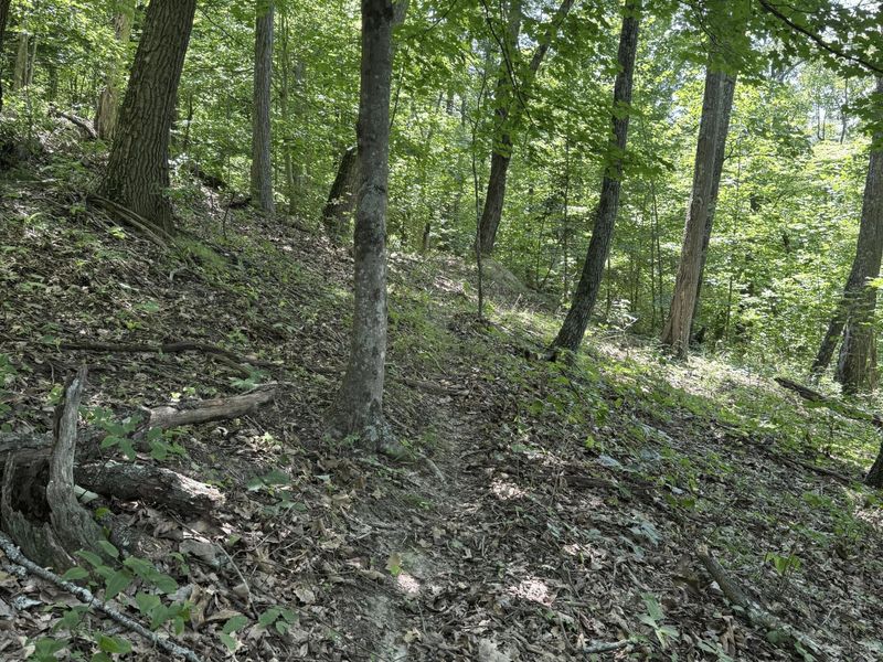 3247 Mcnamer Brown Road, Lucasville, OH 45648 Photo 13