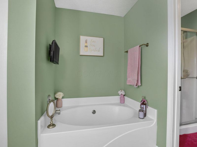 15 Tabilore Loop , Delaware, OH 43015 Photo 52