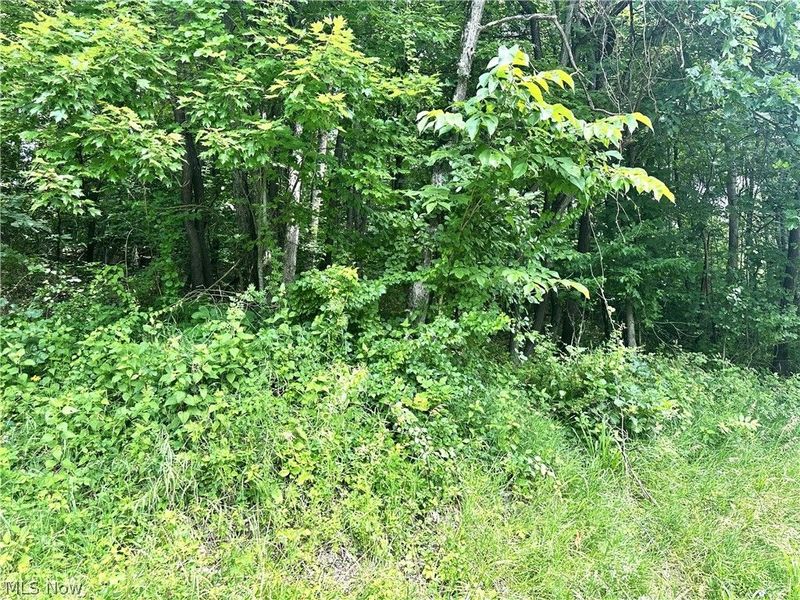 Patriot Road, Carrollton, OH 43903 Photo 8