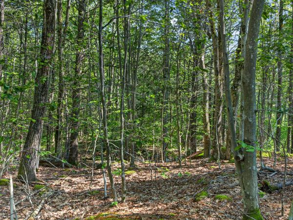 81 Mountain Road , Unit Lot A, York, ME 03902