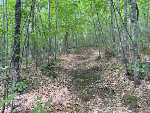 TBD Map FR 028 Plan 01 Lot 19 , Washington Twp, ME 04294