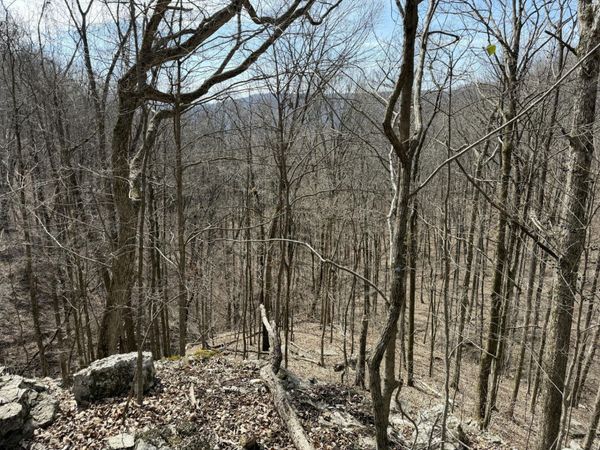 4872 Deer Run Road, Altamont, TN 37301
