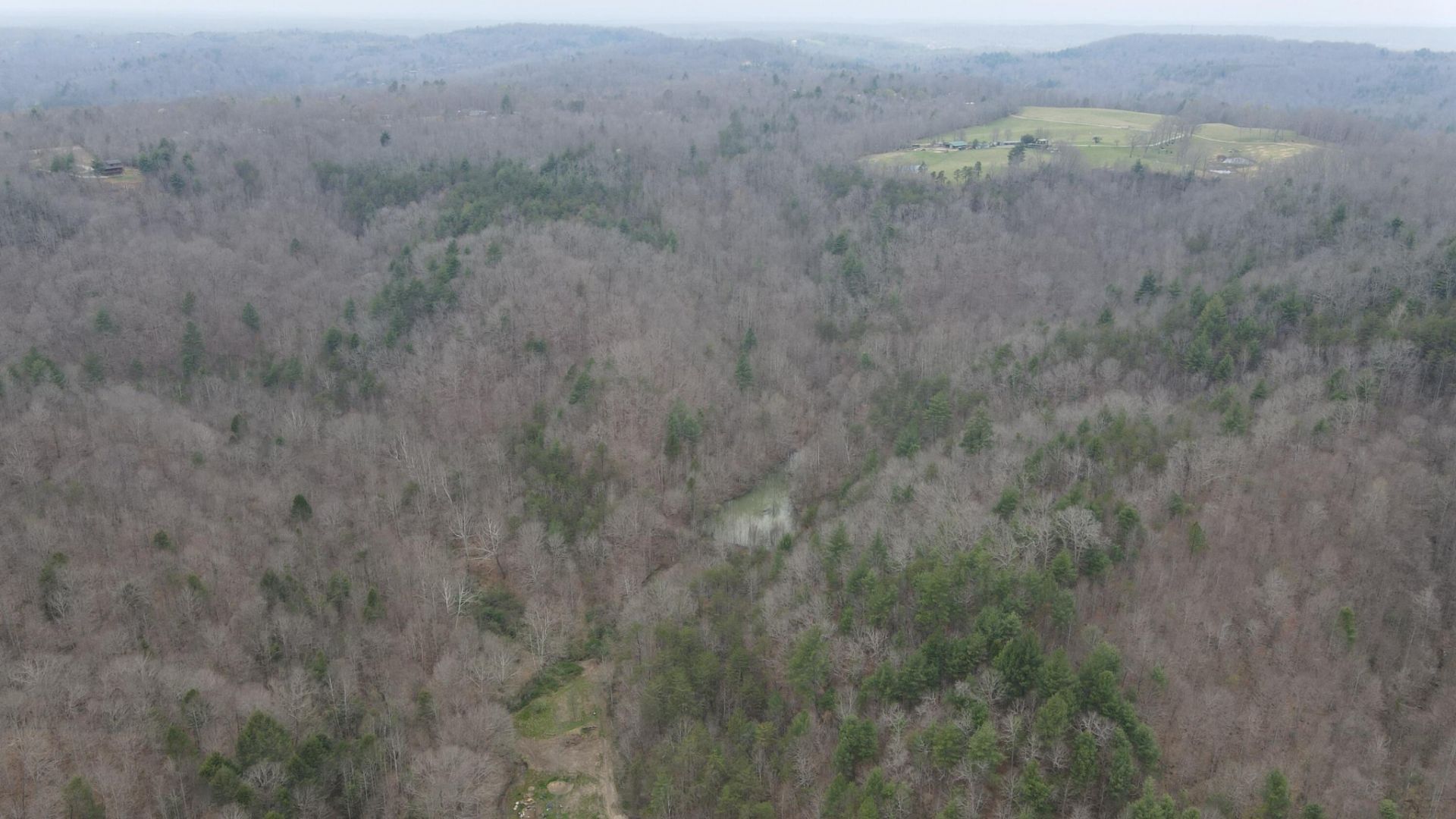 899 Morning Glory Hollow Road, Helenwood, TN 37755 Main Photo
