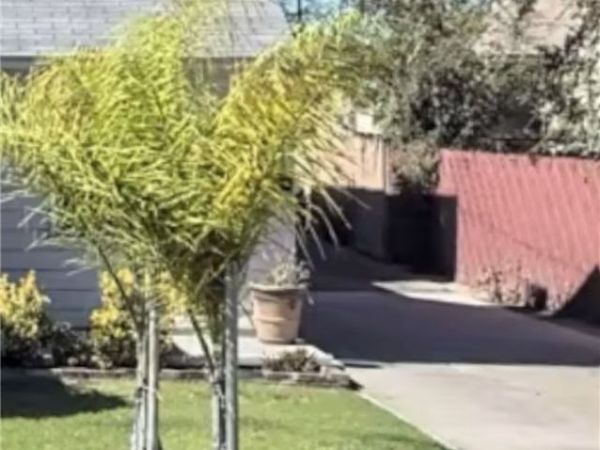 1953 N Parish Place, Burbank, CA 91504