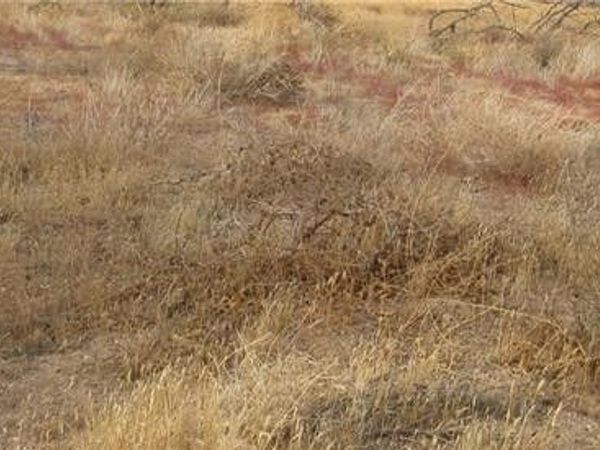 0 043-330-01-07-5 Twisselman Road, Lost Hills, CA 93249