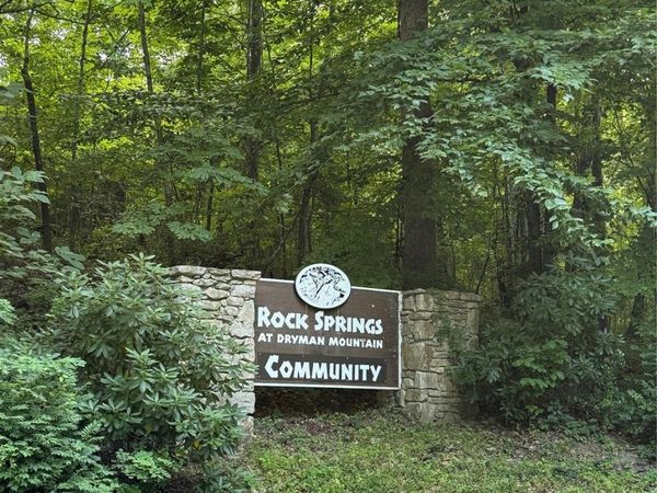 65 Forest Spring Drive, Asheville, NC 28804