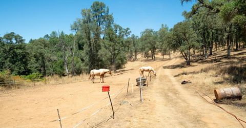 7071 Bayne Rd, Placerville, CA 95667 Photo