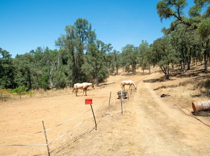 7071 Bayne Rd, Placerville, CA 95667 Photo