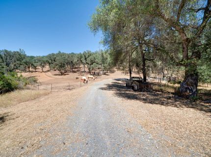 7071 Bayne Rd, Placerville, CA 95667 Photo