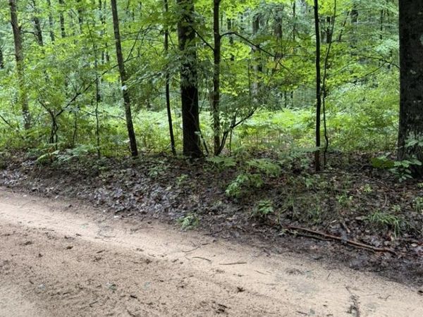 7094 Darlington Lake Road, Hesperia, MI 49421